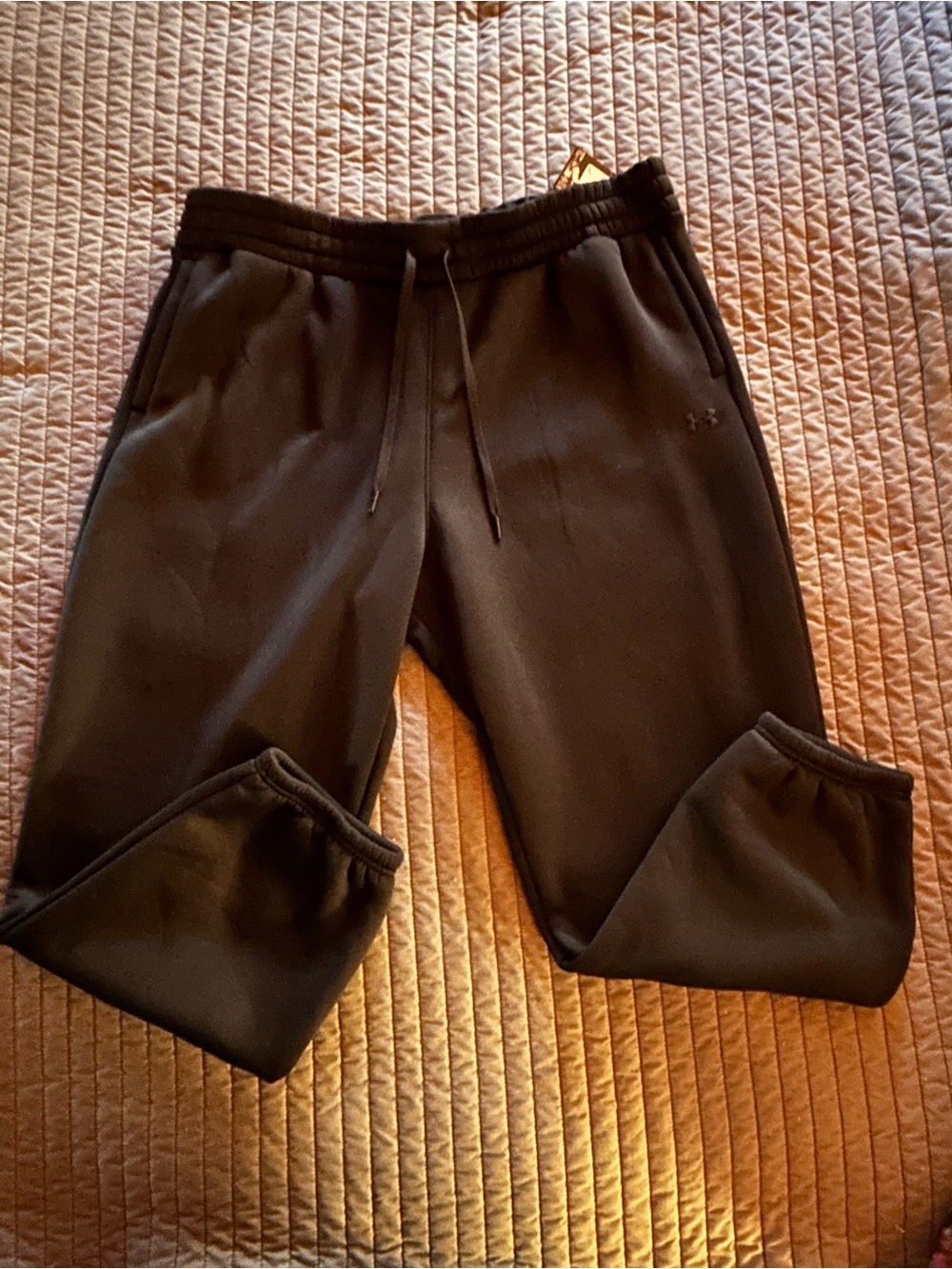 Under Armour Fleece Joggers with Drawstring